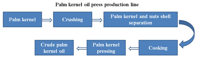 palm kernel oil production 