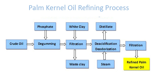 palm kernel oil production 