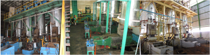 palm fruit digesting machine 