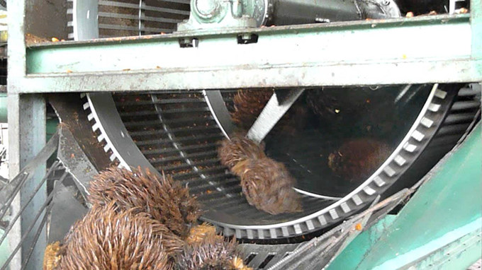 palm fruit threshing machine 
