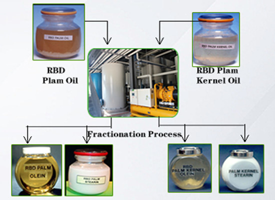 palm oil fractionation plant 