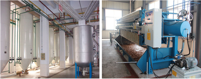 palm oil fractionation plant 