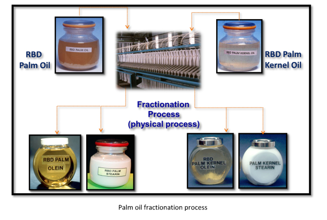 palm oil fractionation process