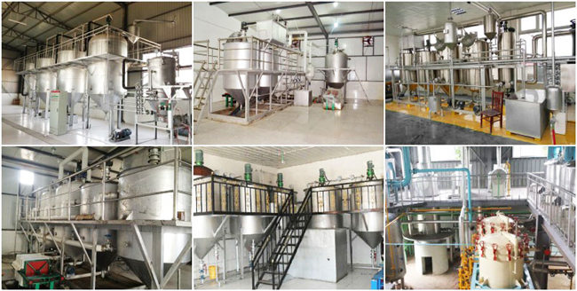 batch edible oil refinery plant 