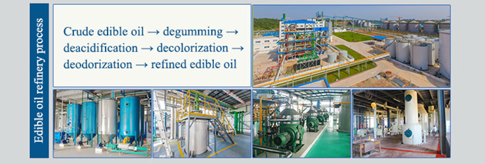 edible oil refining machine 