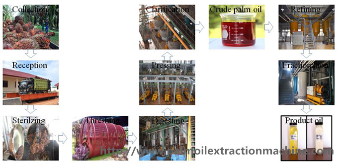 60tph palm oil processing machine 