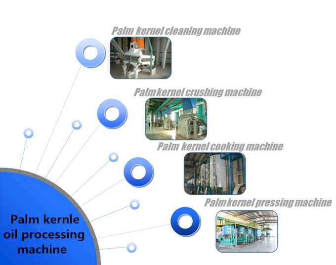 palm kernel oil processing machine 