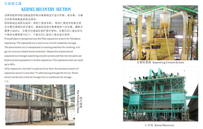 palm kernel oil processing pdf photoes