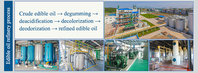 palm oil refining machine 