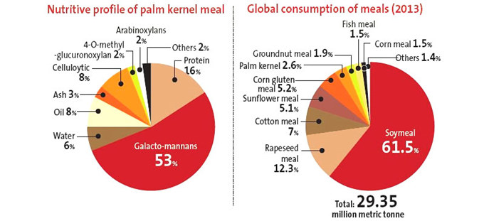 palm kernel oil production 