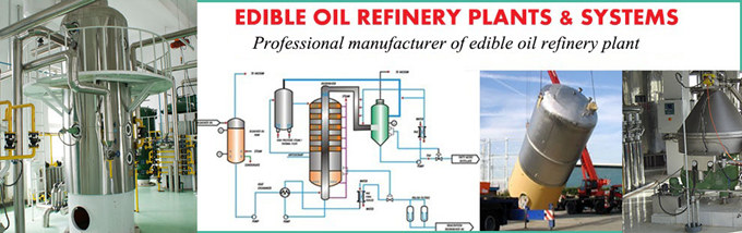 palm oil refining machine 