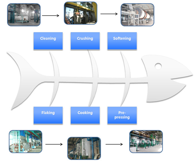 oilseed processing machine 