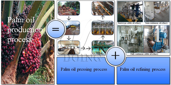 palm oil production process