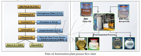 palm kernel oil fractionation process