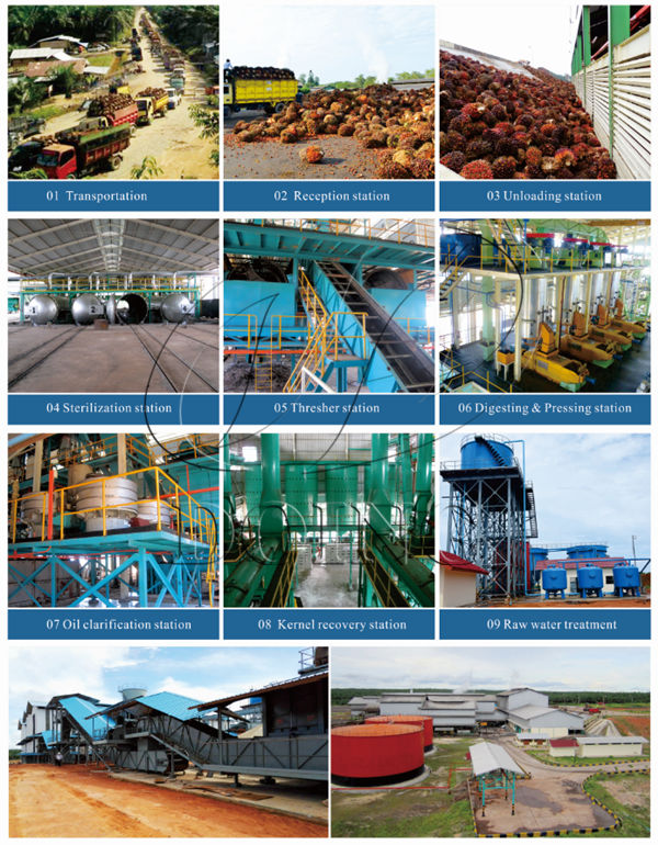 palm oil processing plant 