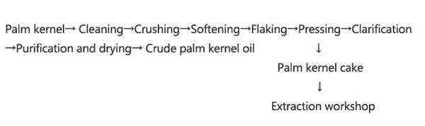 palm kernel oil production process