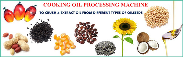 sunflower oil processing machine