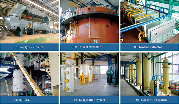 sunflower oil solvent extraction plant 