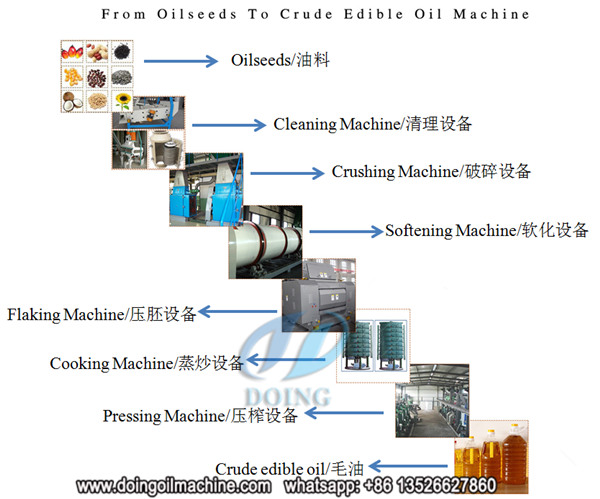 corn germ oil pretreatment & prepressing machine