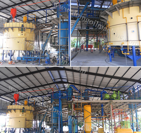 corn germ oil solvent extraction plant