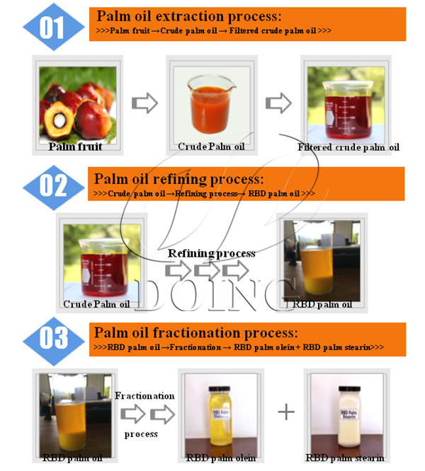 palm oil processing process