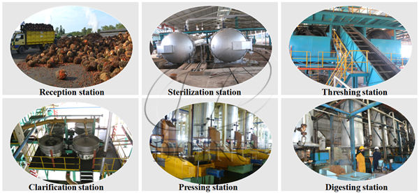 palm oil extraction machine 