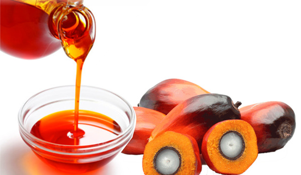 palm oil 