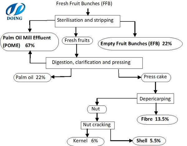 palm oil extraction process 