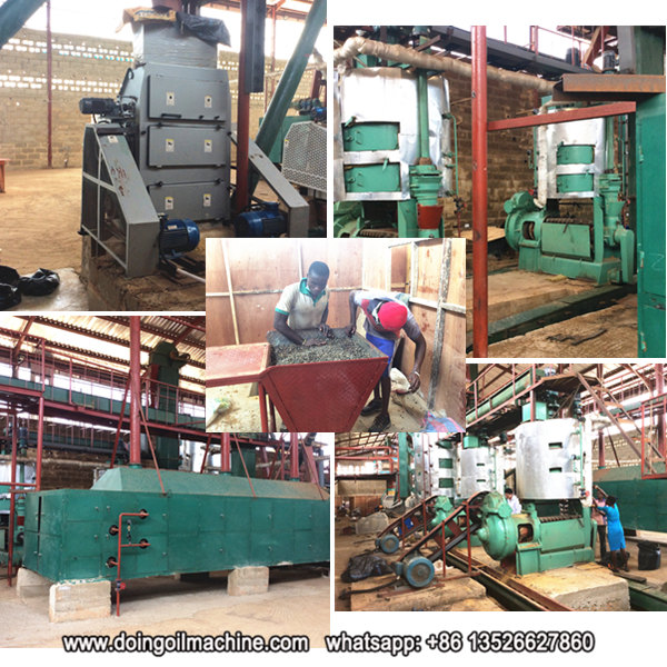 palm kernel oil extraction machine 