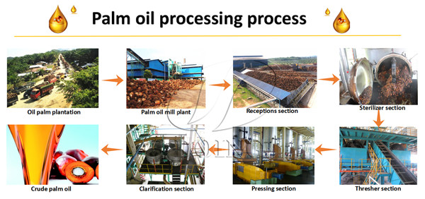 palm oil milling and processing plant 