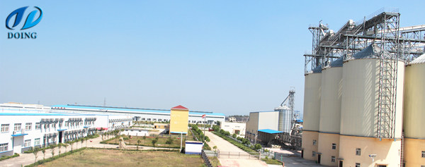 edible oil refinery plant  