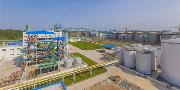 peanut oil mill plant