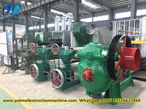 palm kernel oil extractor machine 