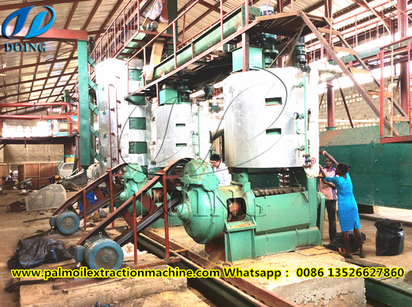 palm kernel oil extractor machine