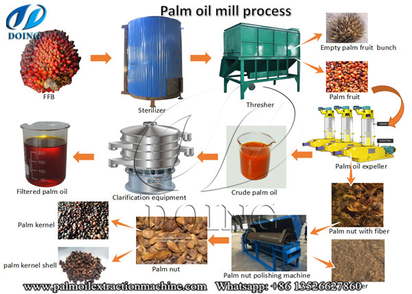 palm oil processing plant 