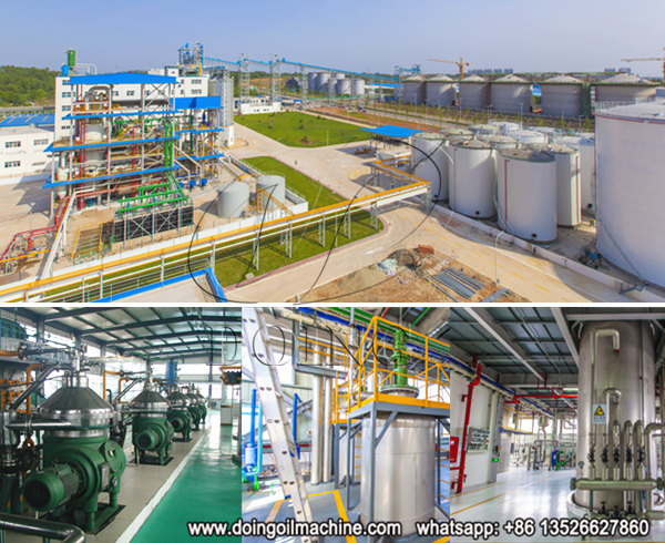 palm kernel oil refining machine 