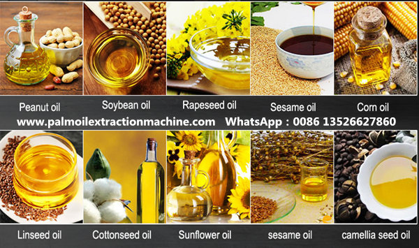 different types edile oil 