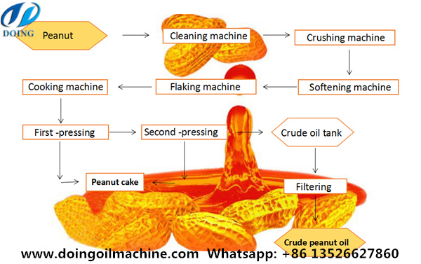 peanut oil processing process 