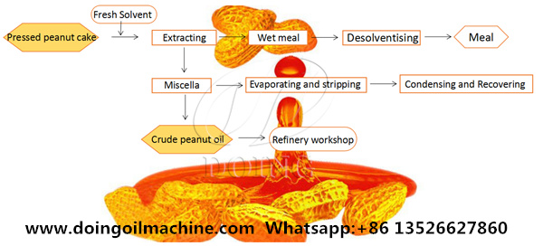 peanut oil processing process