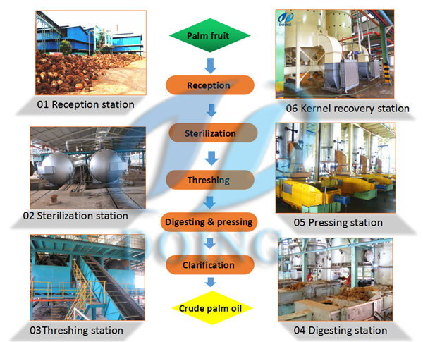 palm oil processing machine 