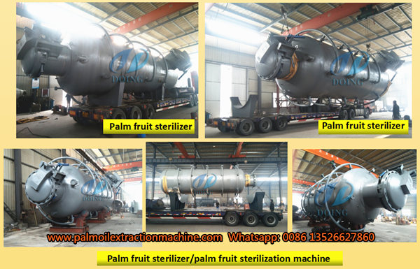 palm fruit sterilization machine 