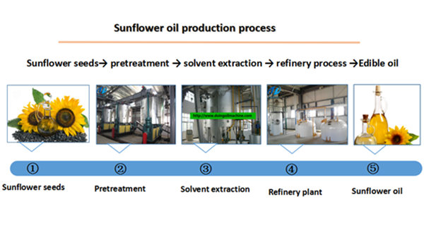 sunflower oil processing process 