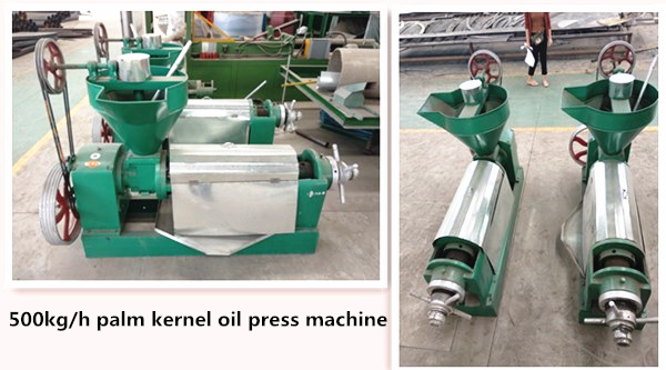 palm kernel crushing machine