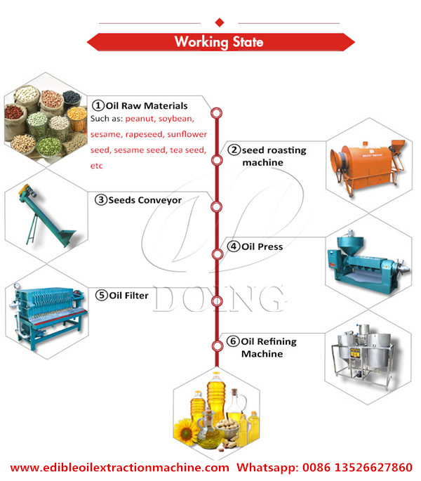 edible oil mill plant 