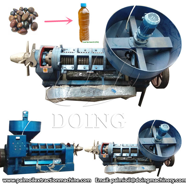 palm kernel oil expeller machine 