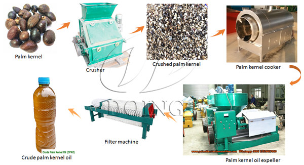 palm kernel oil expeller machine 