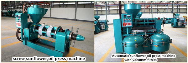 sunflower oil extraction machine 