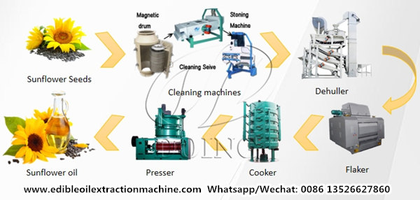 sunflower oil extraction machine