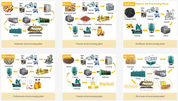 edible oil extraction machine 