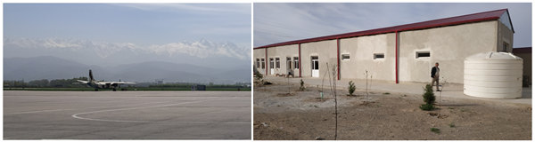 sunflower oil extraction machine 